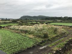#우도#성산일출#뷰맛집 14번째 이미지