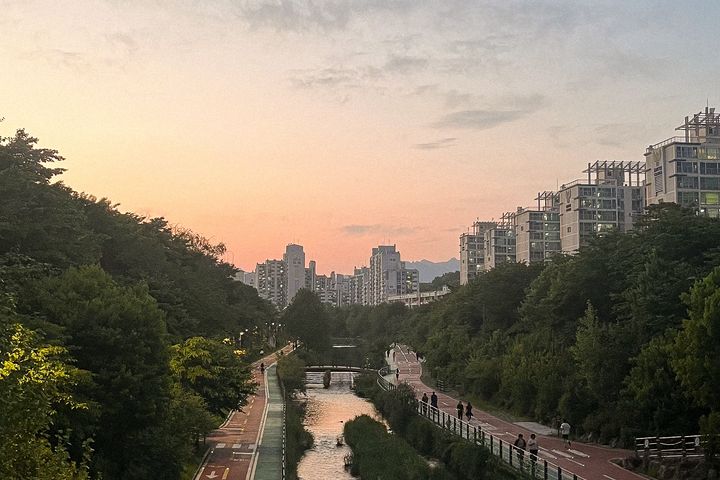 꿈의숲 올수리 아파트 19번째 이미지