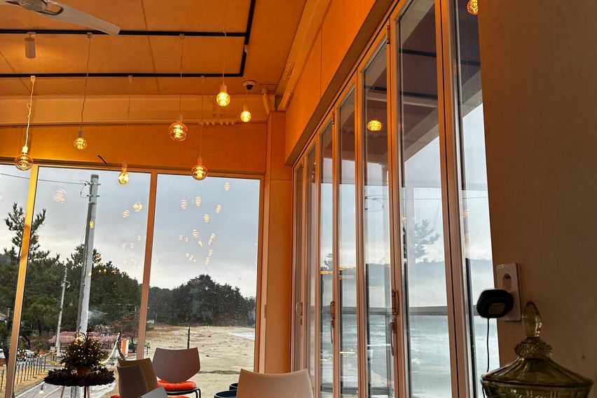 바닷가/넷플/숲세권애견