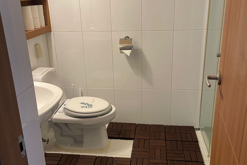 평촌 한림대 숲속의아침