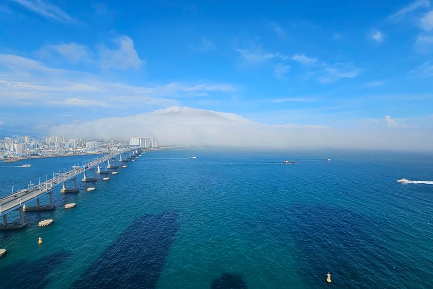 #84디럭스트윈#4인