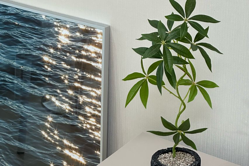 울산 중심 태화강뷰