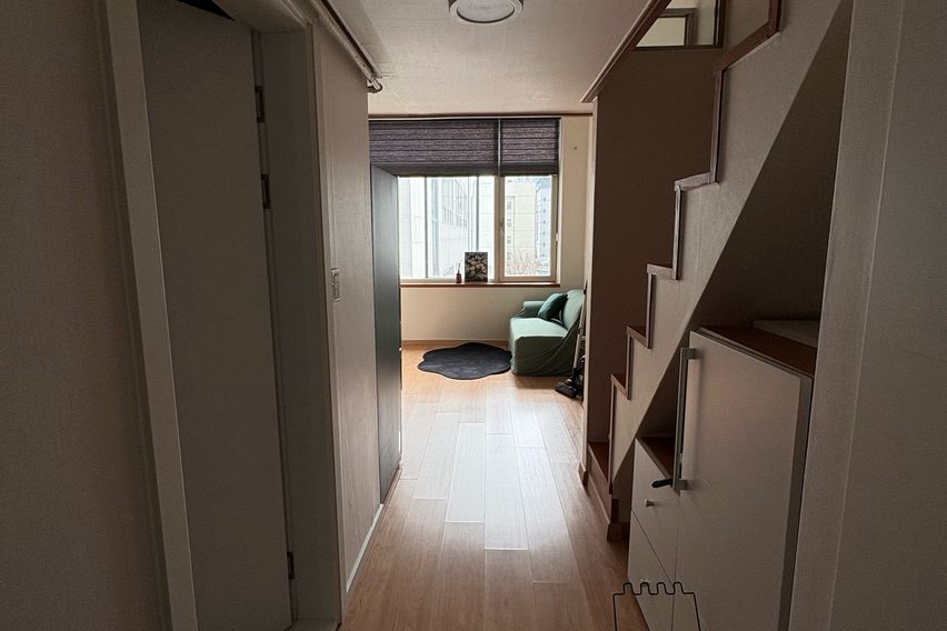 수원시청1분❤️오픈특가❤️