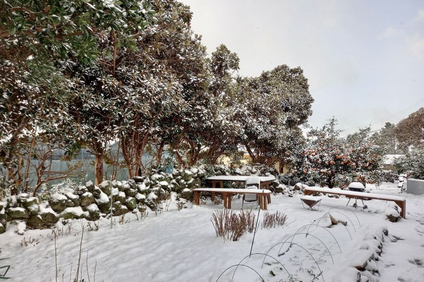 위미리 독채투룸 마당집