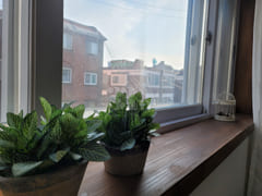 4. Fully renovated, 2 rooms with good natural 0th image