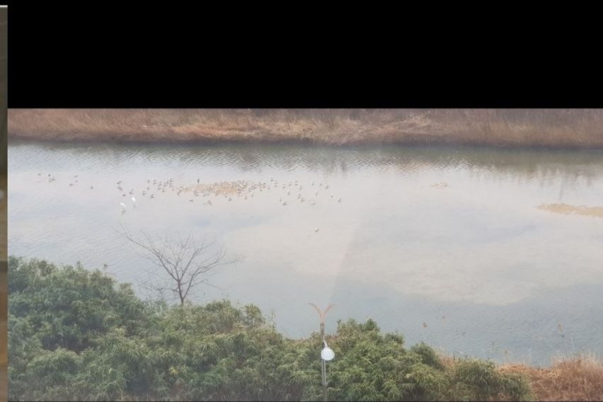 청초호랑 힐링하는 호텔
