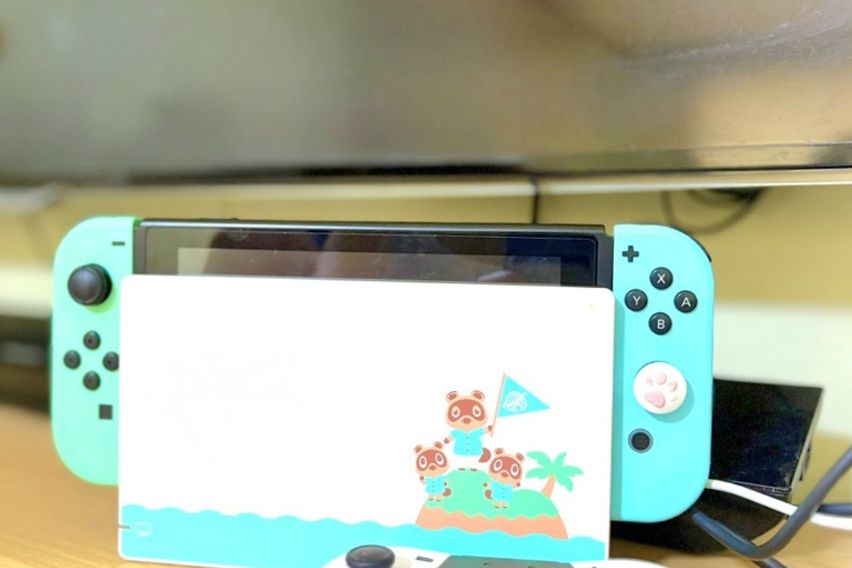 40평독채애견동반촌캉스