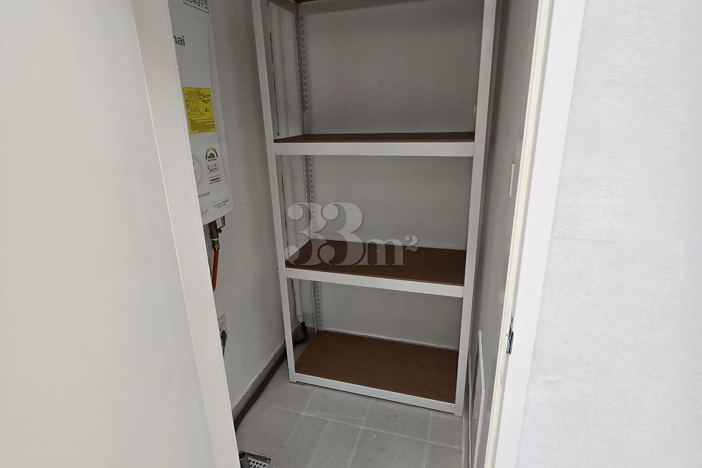 Dandelion 53 5th image