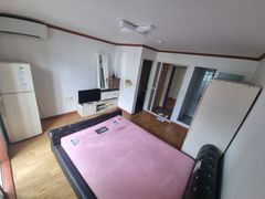 Jinhae Cherry Blossoms / Vacant Studio Apartm 1th image