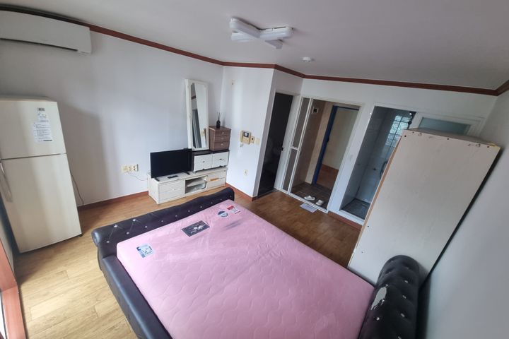 Jinhae Cherry Blossoms / Vacant Studio Apartm 1th image
