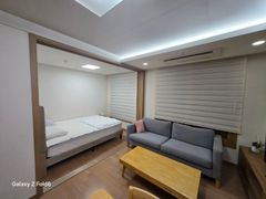 Songpa, Jamsil, Munjeong, Gangnam, Suseo 11th image