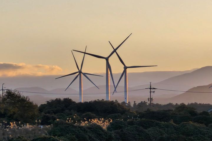 제주동쪽<동복쉼표> 10번째 이미지