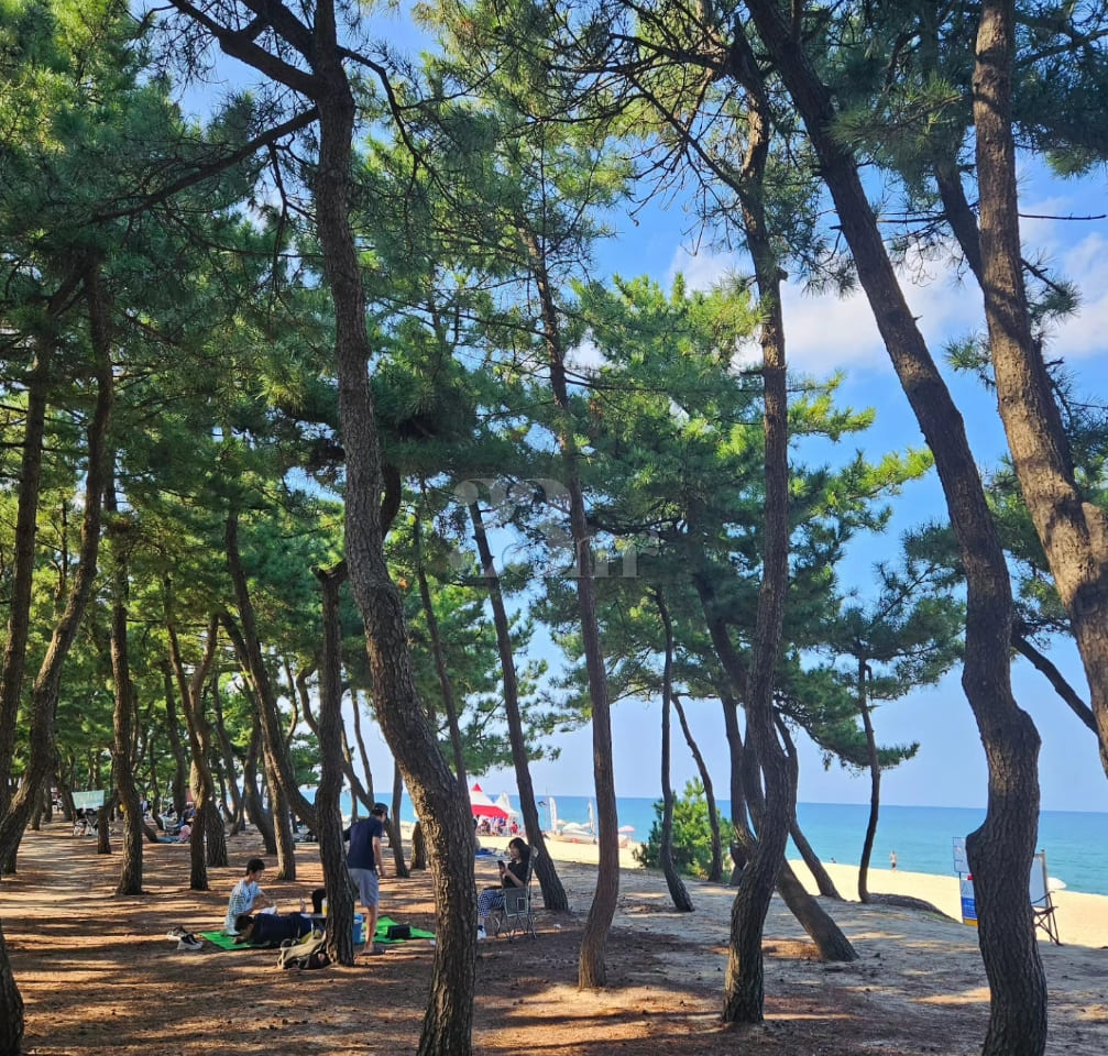 The sunset at Daegwallyeong is beautiful. 15th image