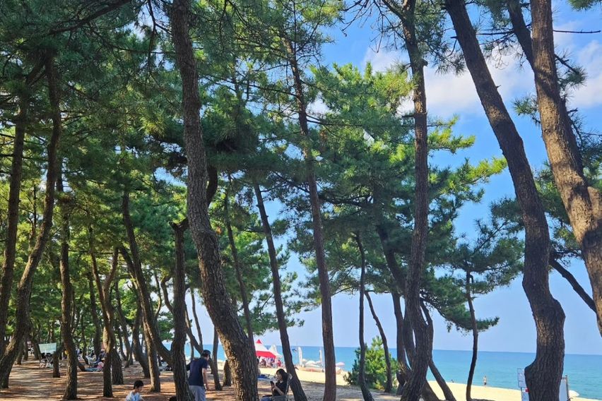 대관령 노을이 아름다운