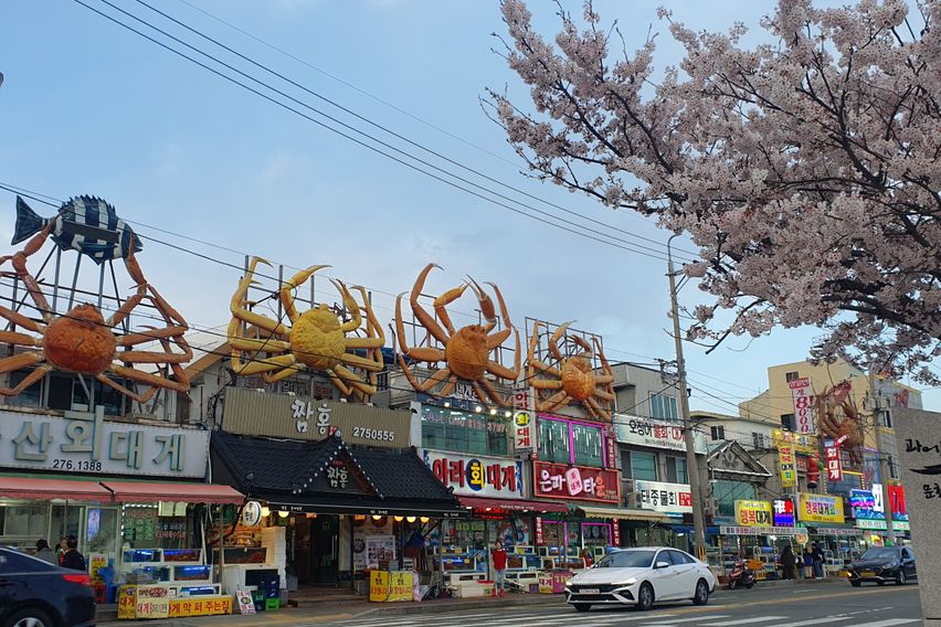 단기임대포항독채저렴달방