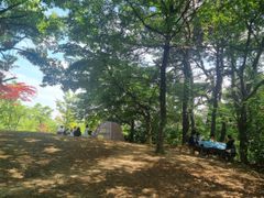#선병원실습 도보1분! 10번째 이미지