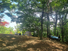 #SunHospital Internship – 1-Minute Walk! 12th image