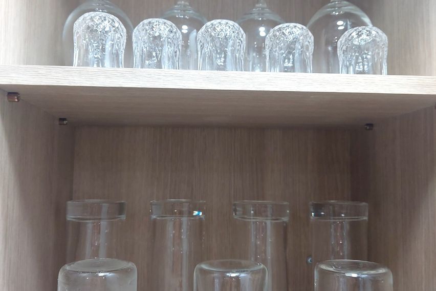 포항 홍시네 앞마당