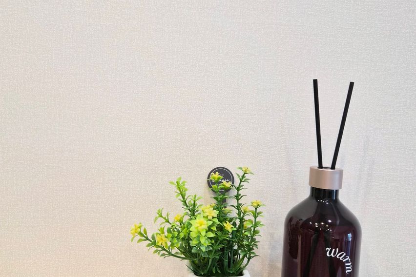 💛백석역/일산병원💚②