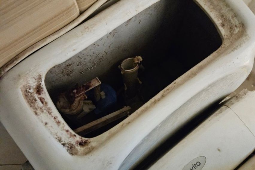 가성비 끝판왕 16번째 이미지