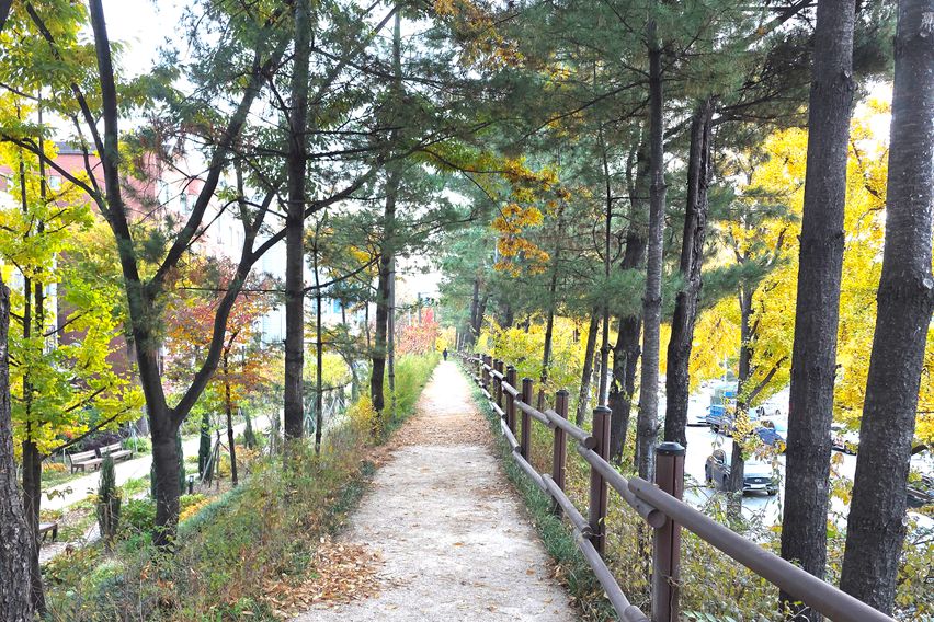 대청역/삼성병원/대치 13번째 이미지