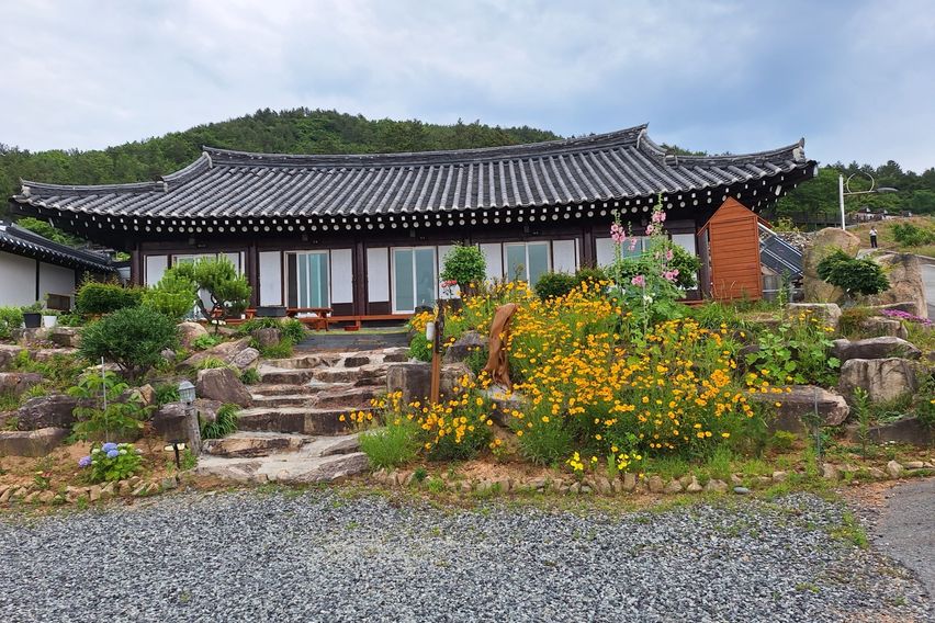 청산도 락 한옥 난초