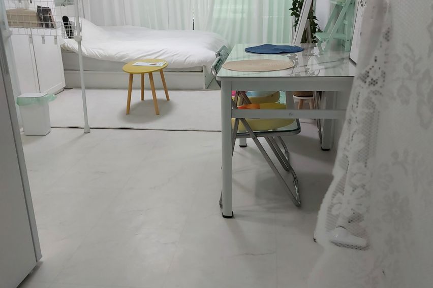 둔산동출장♡여행도시뷰