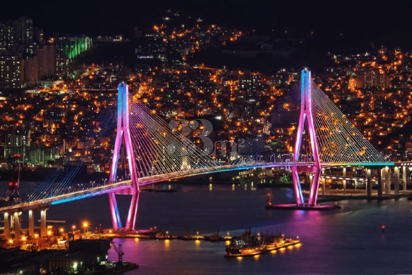 Pet-friendly accommodations in Busan 2th image