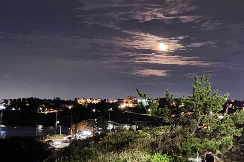 Aewol Coastal Road, 5-bedroom private house 17th image