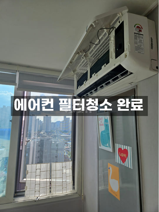 🎯종로성수주차무료반려견 16번째 이미지