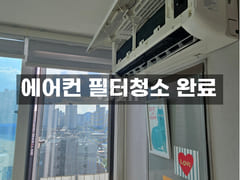 🎯종로성수주차무료반려견 16번째 이미지