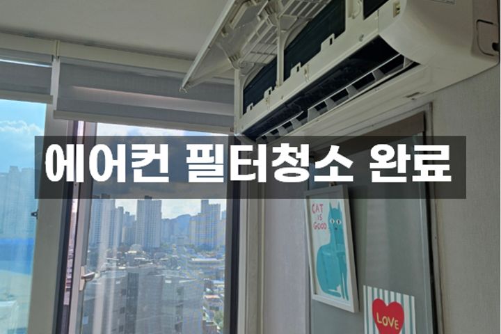 🎯종로성수주차무료반려견 16번째 이미지