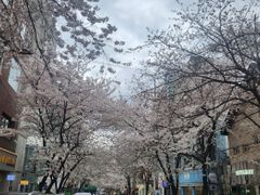🎁합정역1분,더블역세권 17번째 이미지