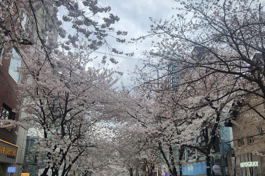 🎁합정역1분,더블역세권 18번째 이미지