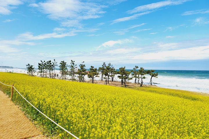 사천해변 걸어가요 7번째 이미지