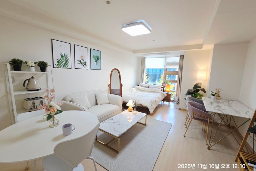 광화문경복궁 종로 시청 14번째 이미지