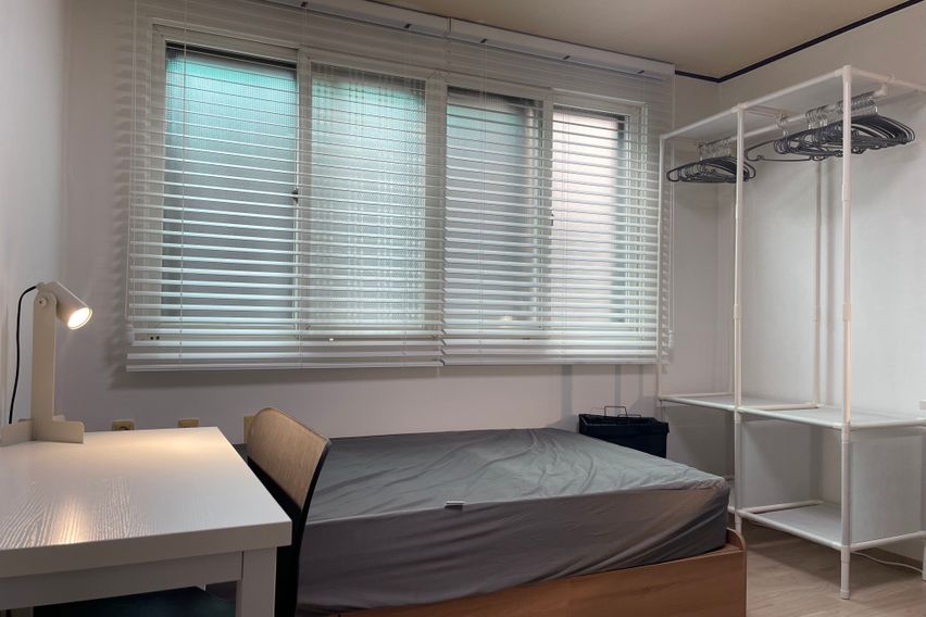 #53 안암/제기 4인