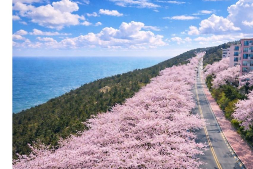해운대 멋진 바다뷰♡ 8번째 이미지