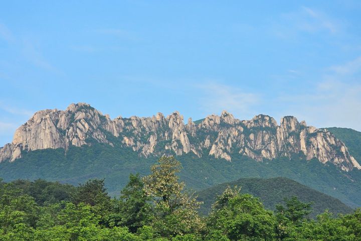 울산바위 속초 하이디 19번째 이미지