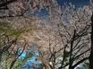 강남 성수 7호선아파트 12번째 이미지