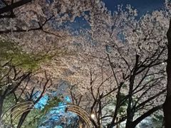 강남 성수 7호선아파트 12번째 이미지