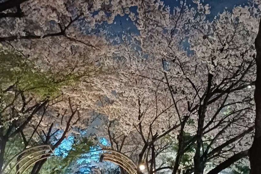강남 성수 7호선아파트 12번째 이미지