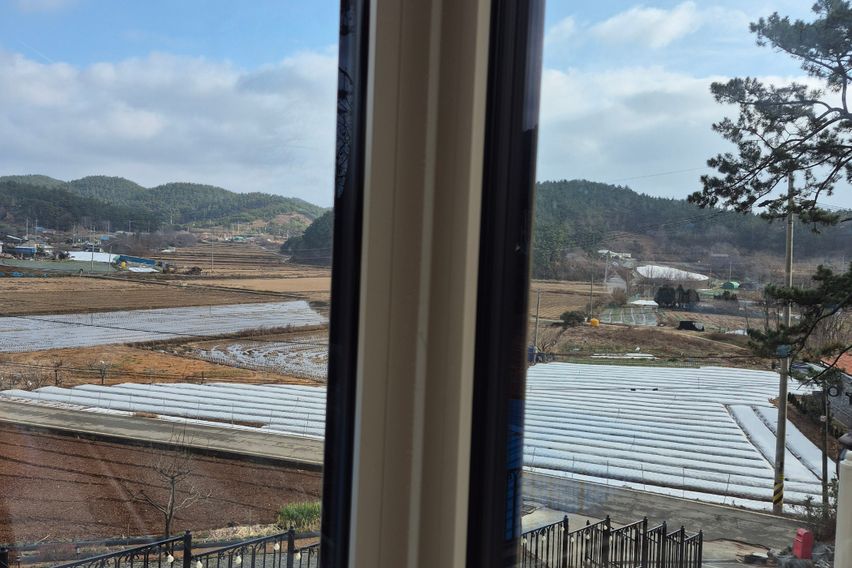 스칼렛 10번째 이미지