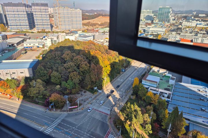 🎄평택삼성 지제역단기 16번째 이미지