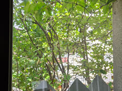 1.5-room apartment near Beomeo Station, Suseo 1th image
