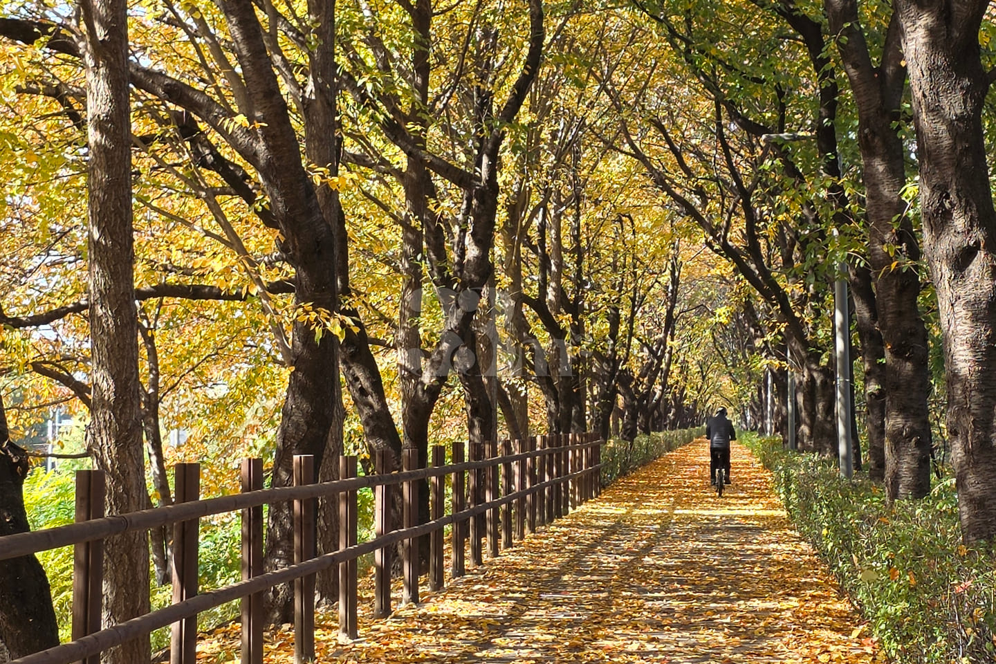 삼성서울병원/대청역2룸 17번째 이미지