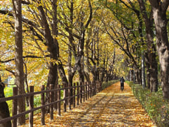 삼성서울병원/대청역2룸 17번째 이미지