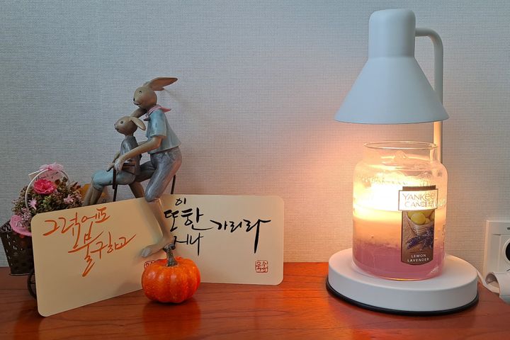 호수공원 밸리하우스1 8번째 이미지