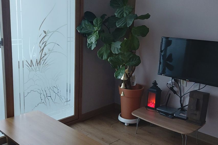 세종터미널인근 A301