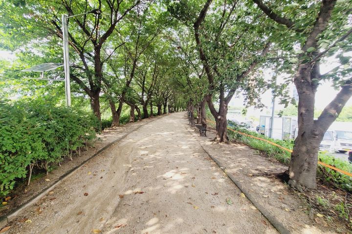 Mokdong ❤️ Yangpyeong Station 3 min/Discount  18th image